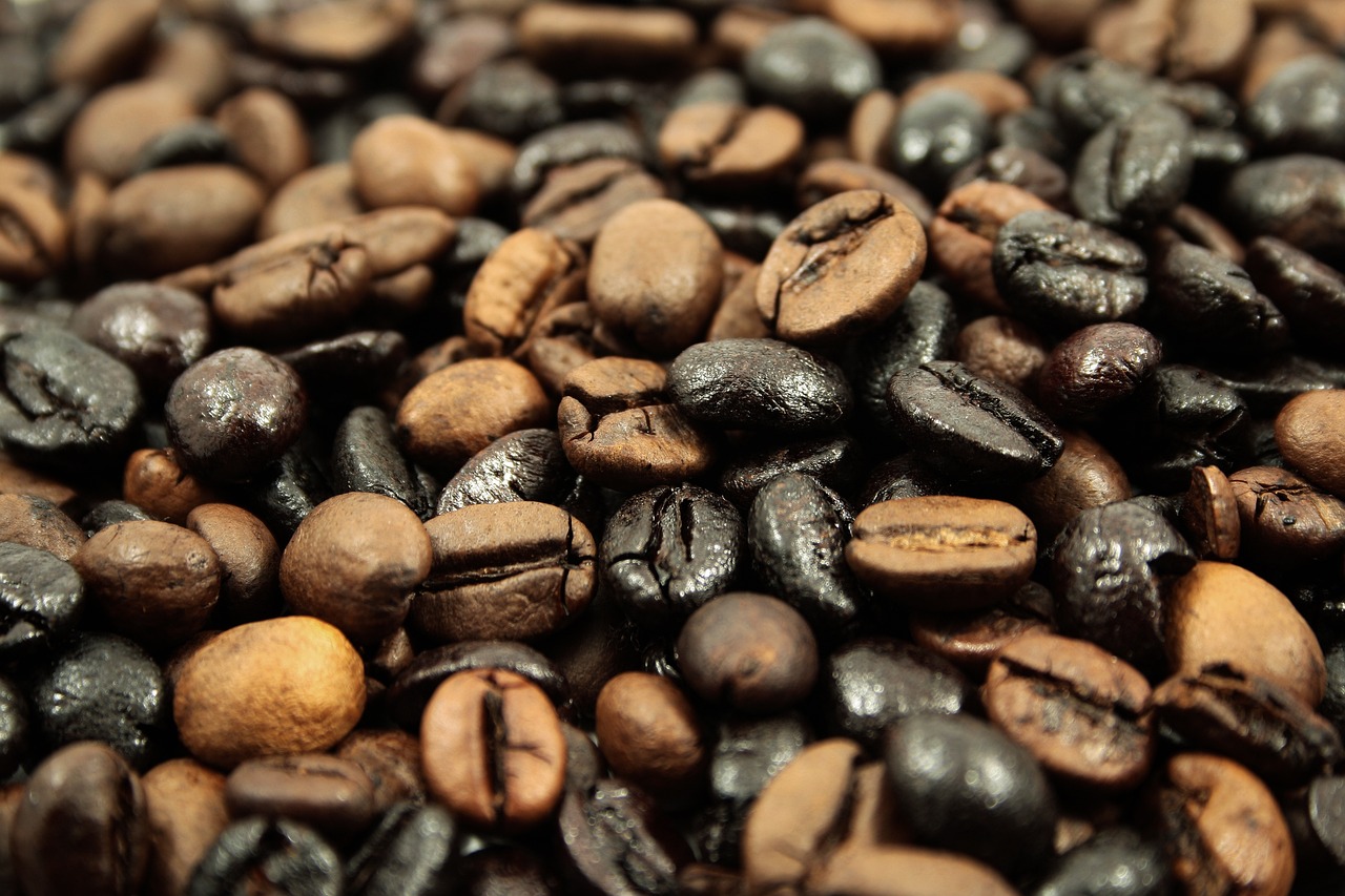 Maca vs. Caféine