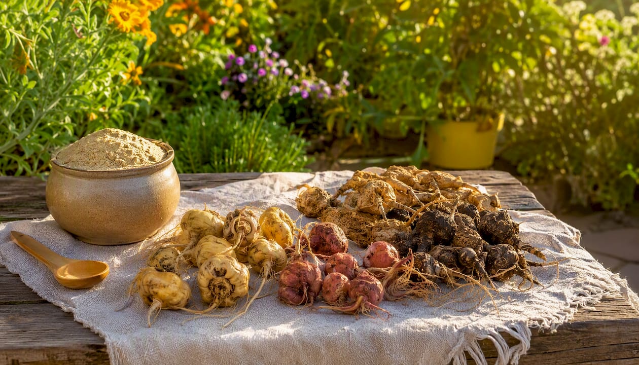 Zoom sur des racines et de la poudre de maca en rayon dans un magasin bio