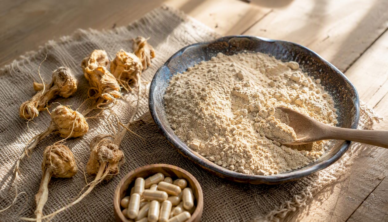 Racines de maca séchées et poudre de maca gélatinisée présentées sur une assiette en céramique rustique.