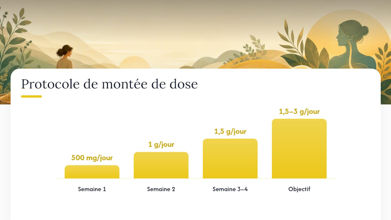 Protocole détaillé d’utilisation de la maca en cas de sensibilité au reflux