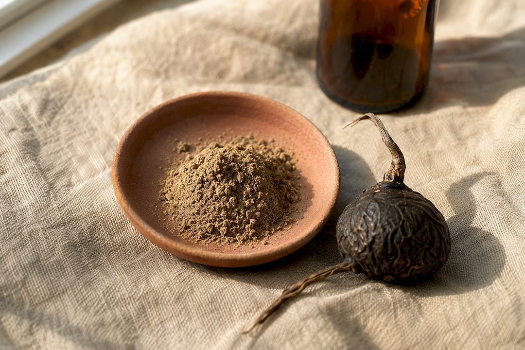 Racine de maca noire et poudre présentées sur une assiette rustique