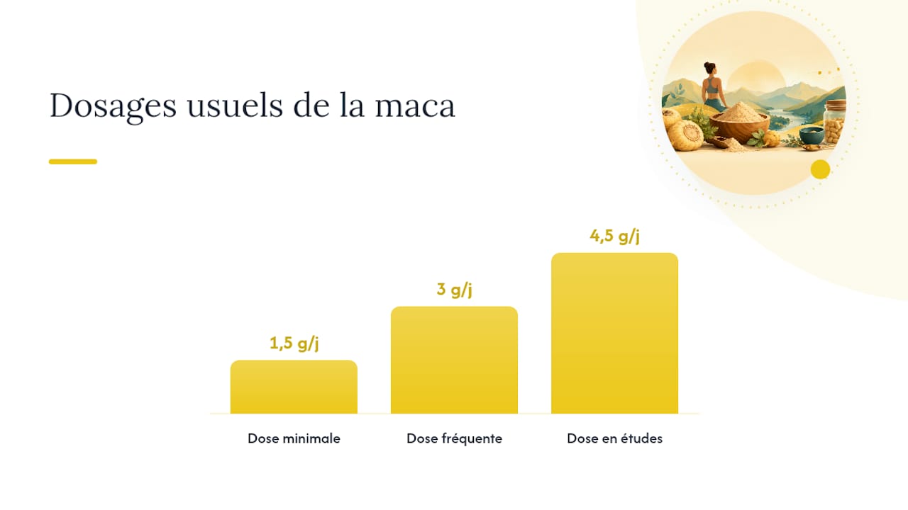 Poudre, gélules ou extrait : quelle forme choisir et à quelle dose ? — overview diagram