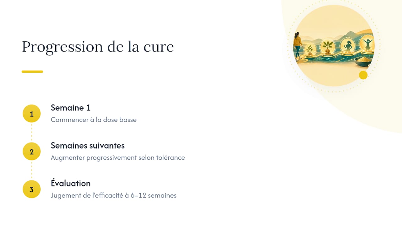 Schéma d'augmentation progressive de la dose de maca