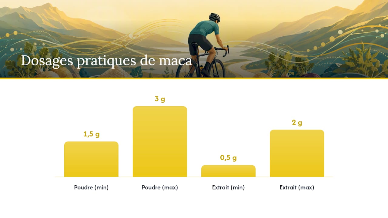 Formes, variétés et posologie : quelle maca choisir pour votre objectif — overview diagram