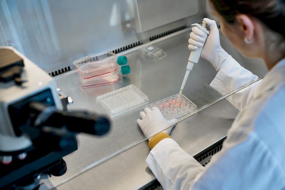 Laboratoire étudiant les cellules inflammatoires
