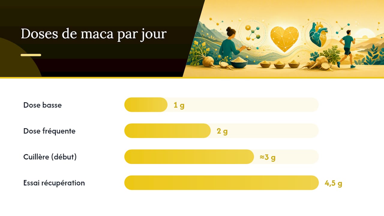 Quelle dose de maca prendre et sous quelle forme ? — overview diagram
