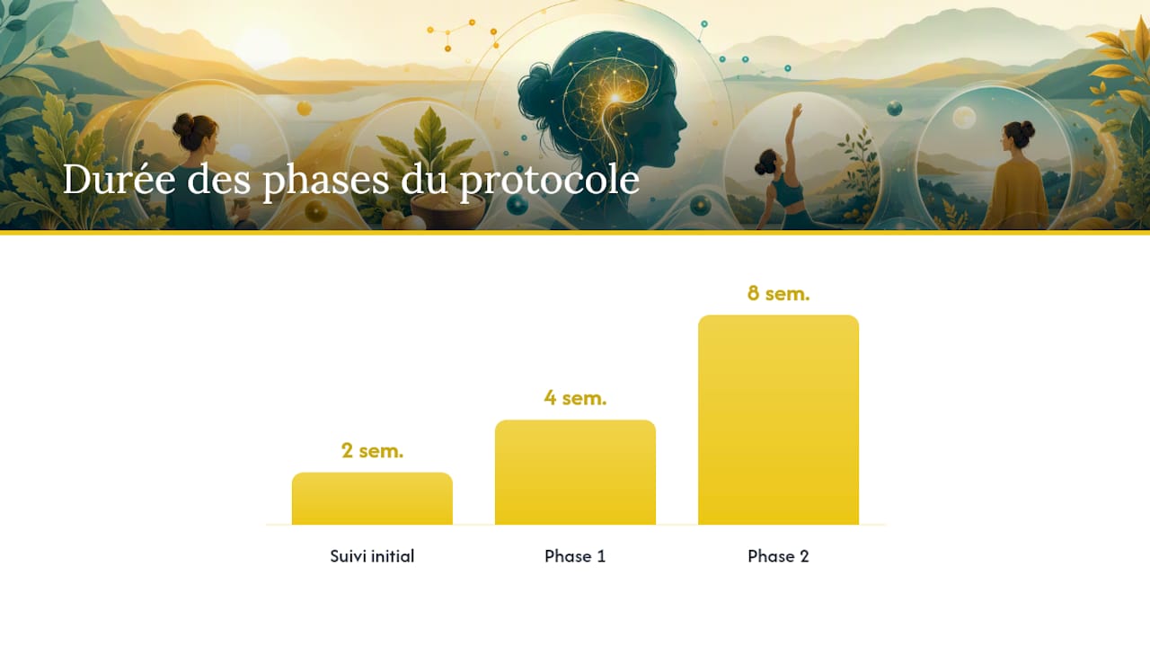 Le protocole d'essai que nous recommandons chez Lesbienfaitsdelamaca — overview diagram