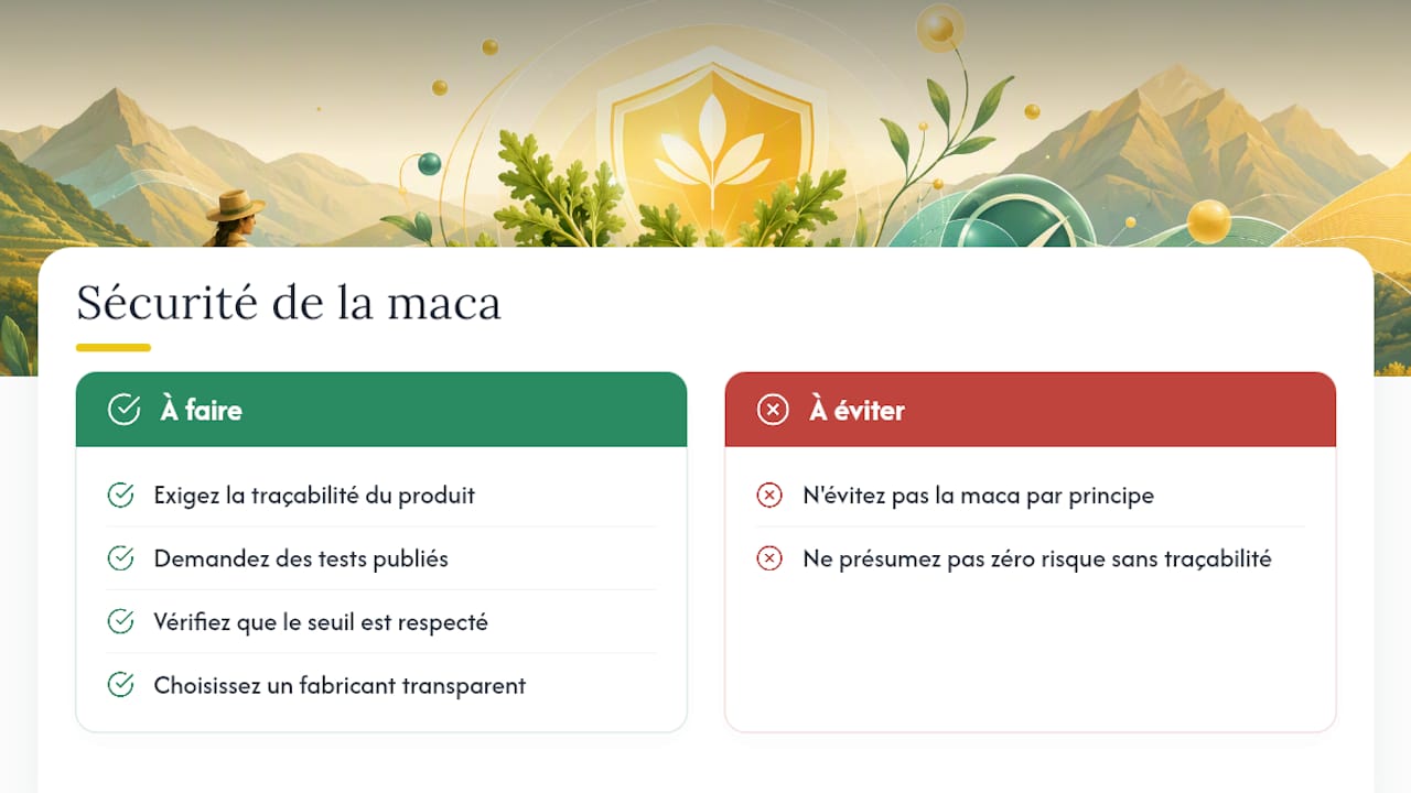 Ce que je pense, en toute franchise, de la sécurité de la maca — overview diagram