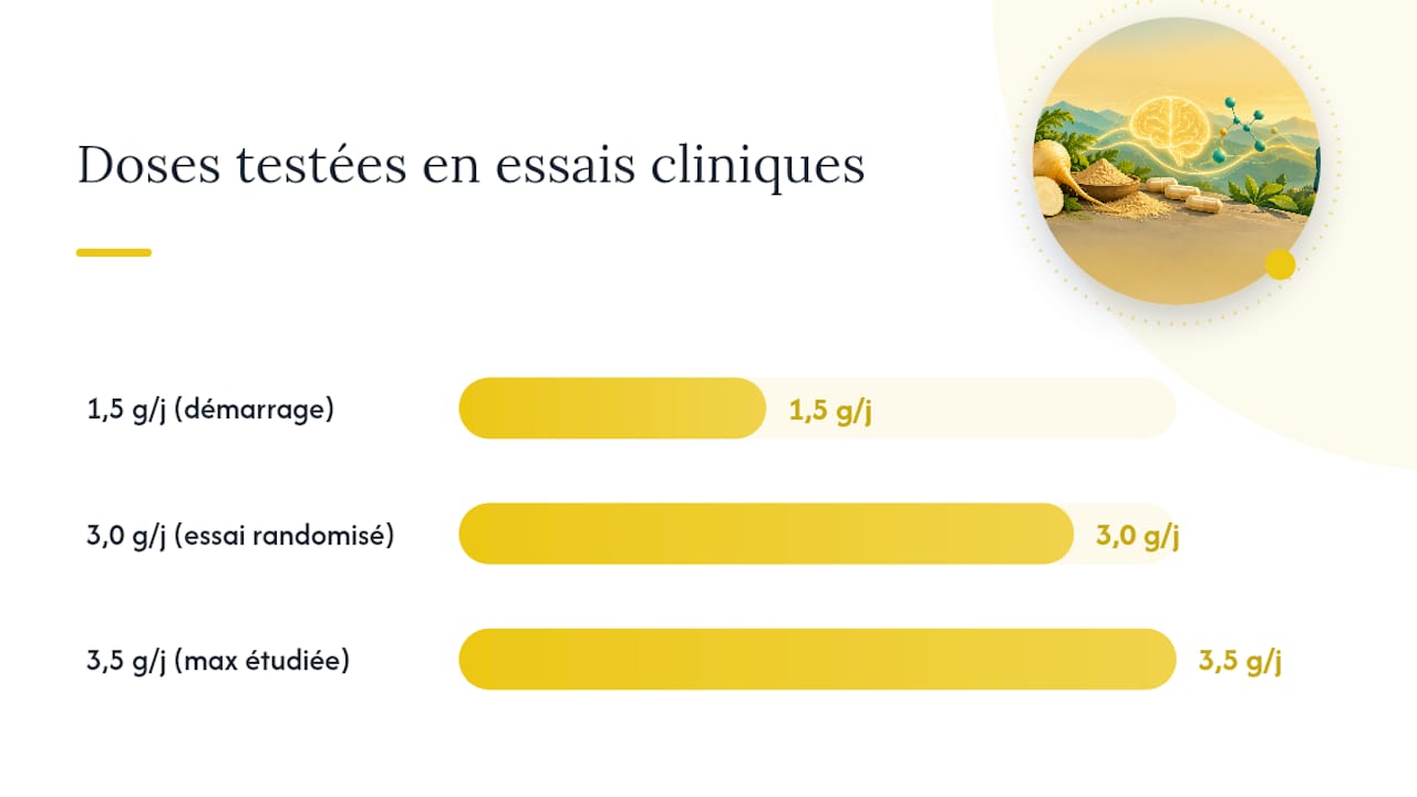 Posologie, durée de cure et mode d'administration observés en recherche — overview diagram