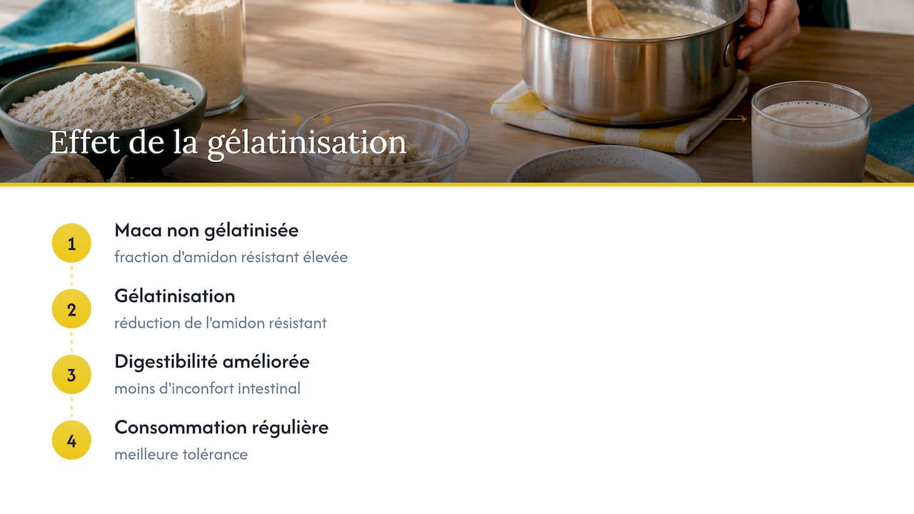 Processus de gélatinisation et digestibilité de la maca