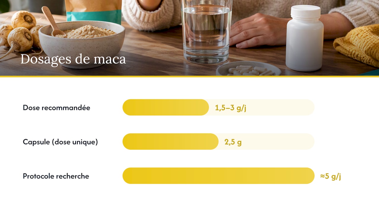 Formes, variétés et posologie : comment utiliser la maca au quotidien — overview diagram