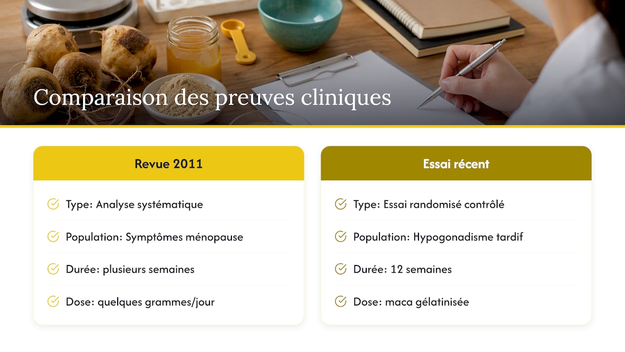 Comparaison entre deux sources cliniques sur la maca