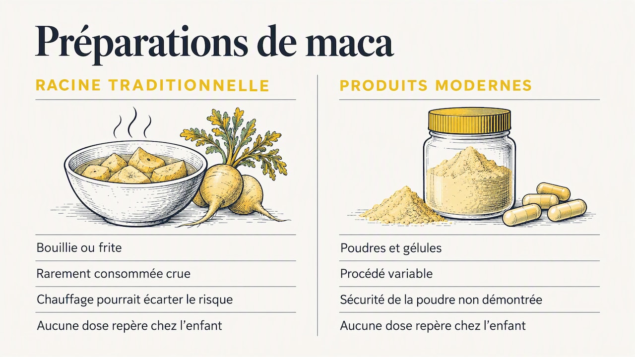 Comparaison entre maca traditionnelle et compléments modernes